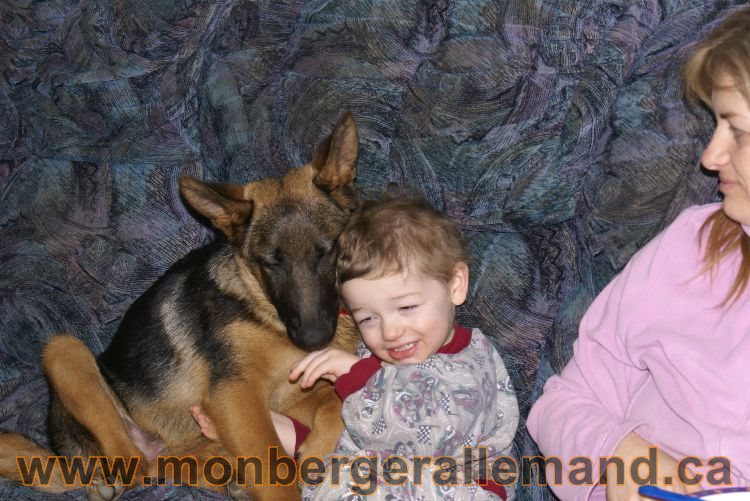 Nos Berger allemand avril 2011
