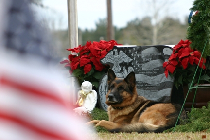 Lee & Lex, un soldat et son chien