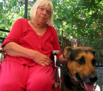 Berger allemand aide des handicapés
