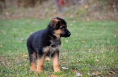 Nom du fichier=14-11-14j009.jpg
Taille du fichier=173Ko
Dimensions : 1200x795
Ajouté le : 14 Novembre 2014 14-11-14j009.jpg