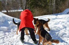 15-02-28chien047.jpg