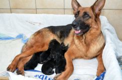Nom du fichier=15-04-06003.jpg
Taille du fichier=169Ko
Dimensions : 1200x795
Ajouté le : 06 Avril 2015 15-04-06003.jpg