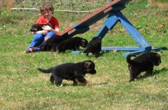 Nom du fichier=15-05-03h005.jpg
Taille du fichier=288Ko
Dimensions : 1200x795
Ajouté le : 03 Mai 2015 15-05-03h005.jpg