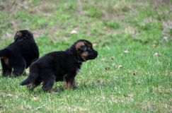Nom du fichier=15-05-03h022.jpg
Taille du fichier=207Ko
Dimensions : 1200x795
Ajouté le : 03 Mai 2015 15-05-03h022.jpg