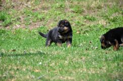 Nom du fichier=15-05-03h027.jpg
Taille du fichier=214Ko
Dimensions : 1200x795
Ajouté le : 03 Mai 2015 15-05-03h027.jpg
