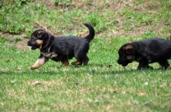 Nom du fichier=15-05-03h029.jpg
Taille du fichier=203Ko
Dimensions : 1200x795
Ajouté le : 03 Mai 2015 15-05-03h029.jpg
