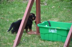 Nom du fichier=15-05-03h030.jpg
Taille du fichier=203Ko
Dimensions : 1200x795
Ajouté le : 03 Mai 2015 15-05-03h030.jpg
