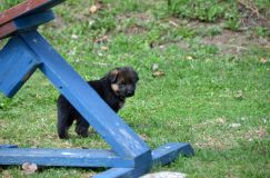 Nom du fichier=15-05-03h033.jpg
Taille du fichier=240Ko
Dimensions : 1200x795
Ajouté le : 03 Mai 2015 15-05-03h033.jpg