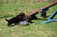Nom du fichier=15-05-03h037.jpg
Taille du fichier=289Ko
Dimensions : 1200x795
Ajouté le : 03 Mai 2015 15-05-03h037.jpg