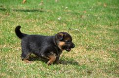 Nom du fichier=15-05-03h040.jpg
Taille du fichier=257Ko
Dimensions : 1200x795
Ajouté le : 03 Mai 2015 15-05-03h040.jpg