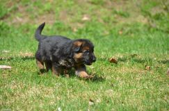 Nom du fichier=15-05-03h047.jpg
Taille du fichier=225Ko
Dimensions : 1200x795
Ajouté le : 03 Mai 2015 15-05-03h047.jpg