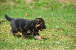 Nom du fichier=15-05-03h048.jpg
Taille du fichier=227Ko
Dimensions : 1200x795
Ajouté le : 03 Mai 2015 15-05-03h048.jpg
