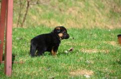 Nom du fichier=15-05-03h049.jpg
Taille du fichier=210Ko
Dimensions : 1200x795
Ajouté le : 03 Mai 2015 15-05-03h049.jpg