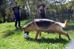 2012-09-16-chiots-kenya031.jpg