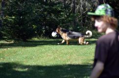 2012-09-16-chiots-kenya055.jpg