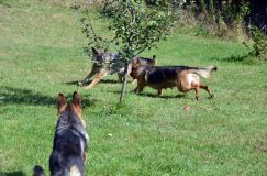 2012-10-03002.jpg