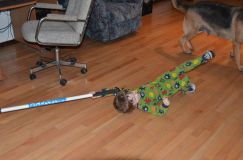 2012-10-06004.jpg