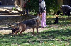 2012-10-08chiotschien003.jpg