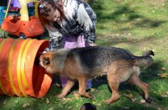 2012-10-08chiotschien009.jpg