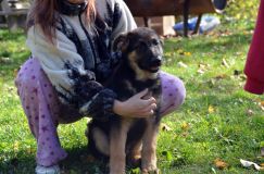 2012-10-08chiotschien039.jpg