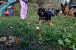 2012-10-08chiotschien044.jpg