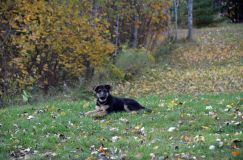 2012-10-08chiotschien077.jpg