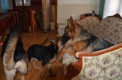 2012-11-30011.jpg
