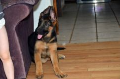 2012-12-04025.jpg