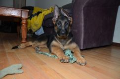 2012-12-08009.jpg