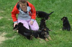 Nom du fichier=2012-juil-01-puppylady074.jpg
Taille du fichier=287Ko
Dimensions : 1200x795
Ajouté le : 01 Juillet 2012 2012-juil-01-puppylady074.jpg
