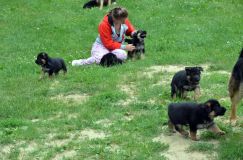 Nom du fichier=2012-juil-01-puppylady087.jpg
Taille du fichier=289Ko
Dimensions : 1200x795
Ajouté le : 01 Juillet 2012 2012-juil-01-puppylady087.jpg