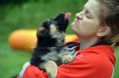 2012-juil-01-puppylady091.jpg