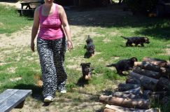 2012-juil-02-puppylady002.jpg