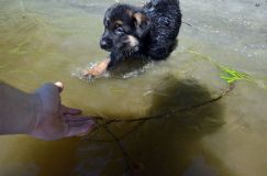 2012-juil-02-puppylady019.jpg