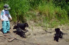 2012-juil-02-puppylady051.jpg