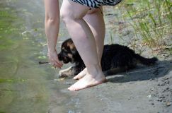 2012-juil-02-puppylady074.jpg