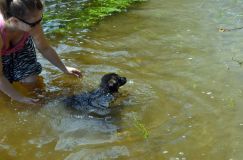 2012-juil-02-puppylady076.jpg