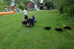 2012-juil-04-puppylady024.jpg