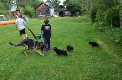 Nom du fichier=2012-juil-04-puppylady025.jpg
Taille du fichier=309Ko
Dimensions : 1200x795
Ajouté le : 04 Juillet 2012 2012-juil-04-puppylady025.jpg