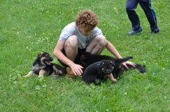 2012-juil-04-puppylady037.jpg