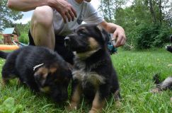 Nom du fichier=2012-juil-04-puppylady042.jpg
Taille du fichier=243Ko
Dimensions : 1200x795
Ajouté le : 04 Juillet 2012 2012-juil-04-puppylady042.jpg