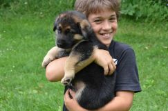 2012-juil-04-puppylady043.jpg