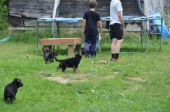 2012-juil-04-puppylady050.jpg