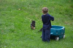 2012-juil-04-puppylady052.jpg