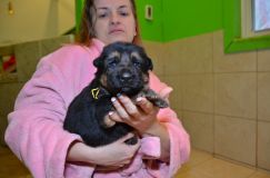 Nom du fichier=2013-03-11chiots014.jpg
Taille du fichier=118Ko
Dimensions : 1200x795
Ajouté le : 11 Mars 2013 2013-03-11chiots014.jpg