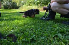 2013-08-18021.jpg