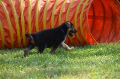 2013-08-18050.jpg