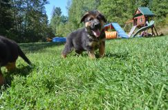 2013-08-25-2026.jpg