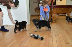 2013-aout04037.jpg