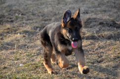 2013-avril-27060.jpg